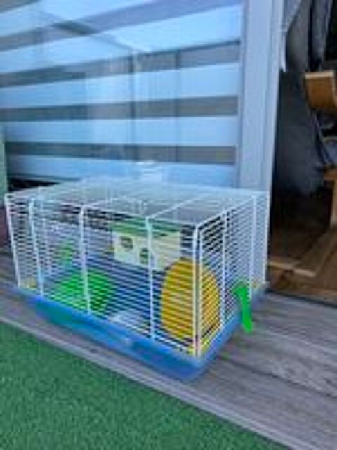   Cage hamster 
