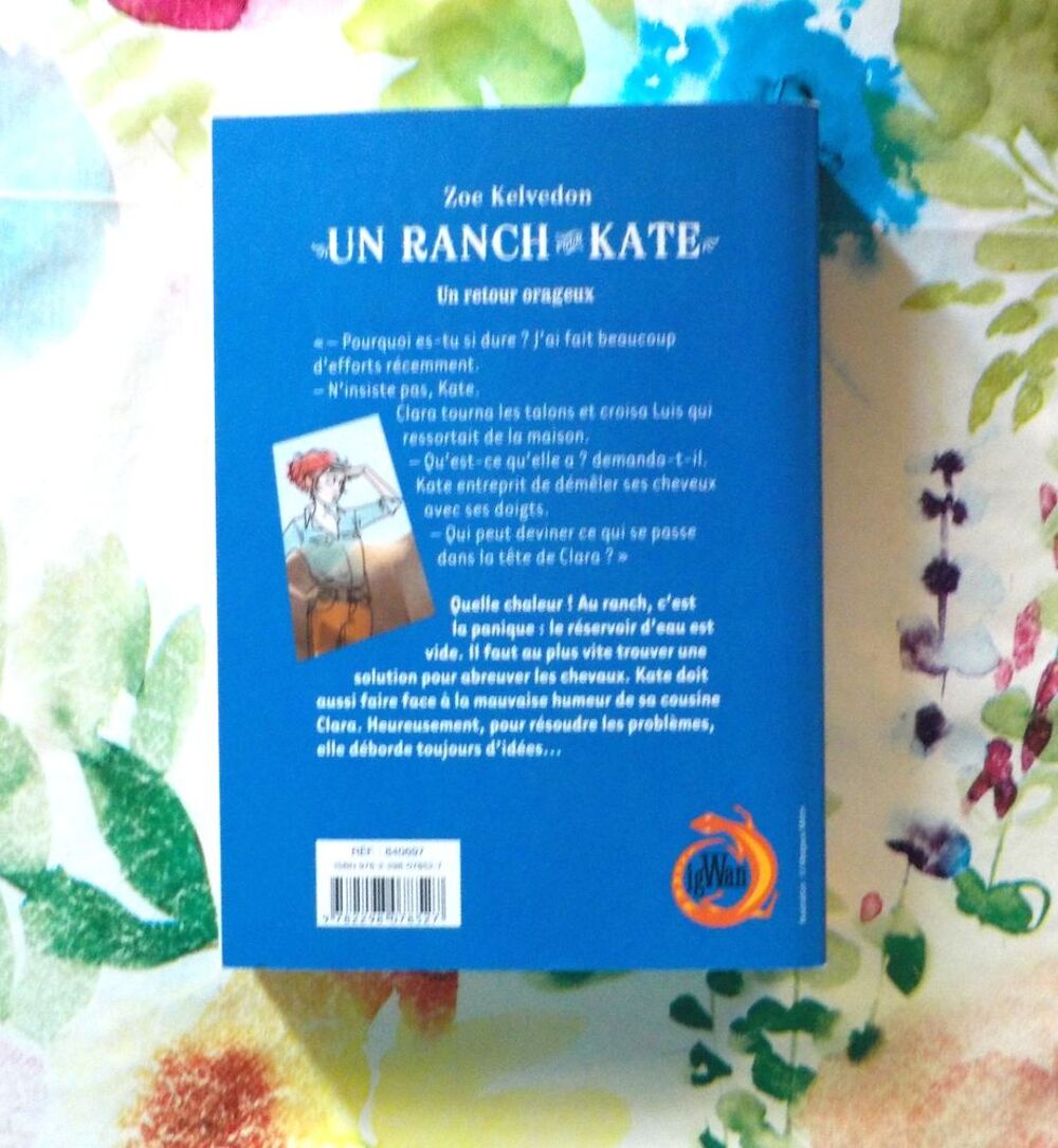 UN RANCH POUR KATE - UN RETOUR ORAGEUX de Zoe KELVEDON Livres et BD