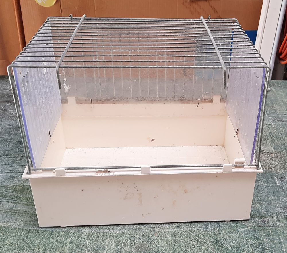   Baignoire pour oiseaux 