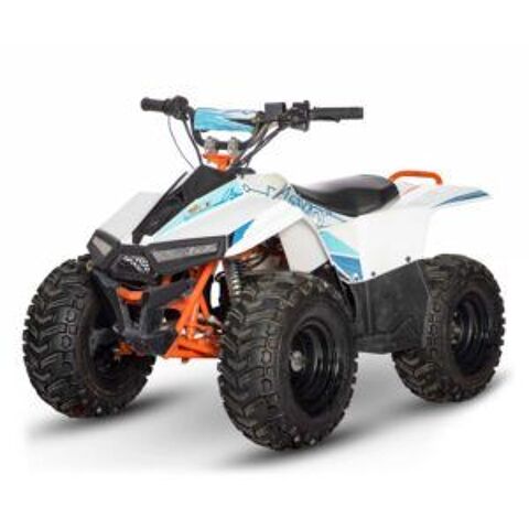Quad Quad 2025 occasion Montpellier 34070