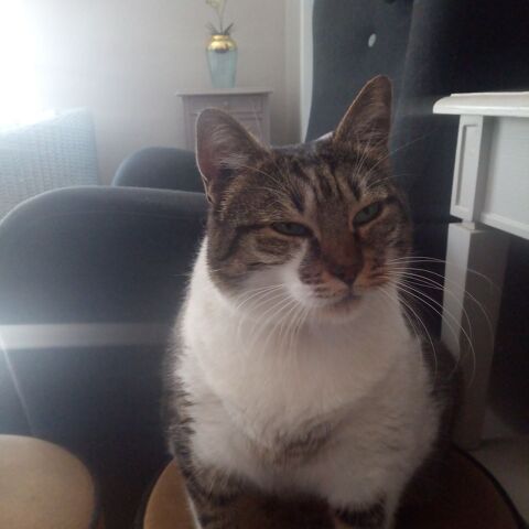 recherche dame pour aide  .loisir 0 43700 Arsac-en-velay
