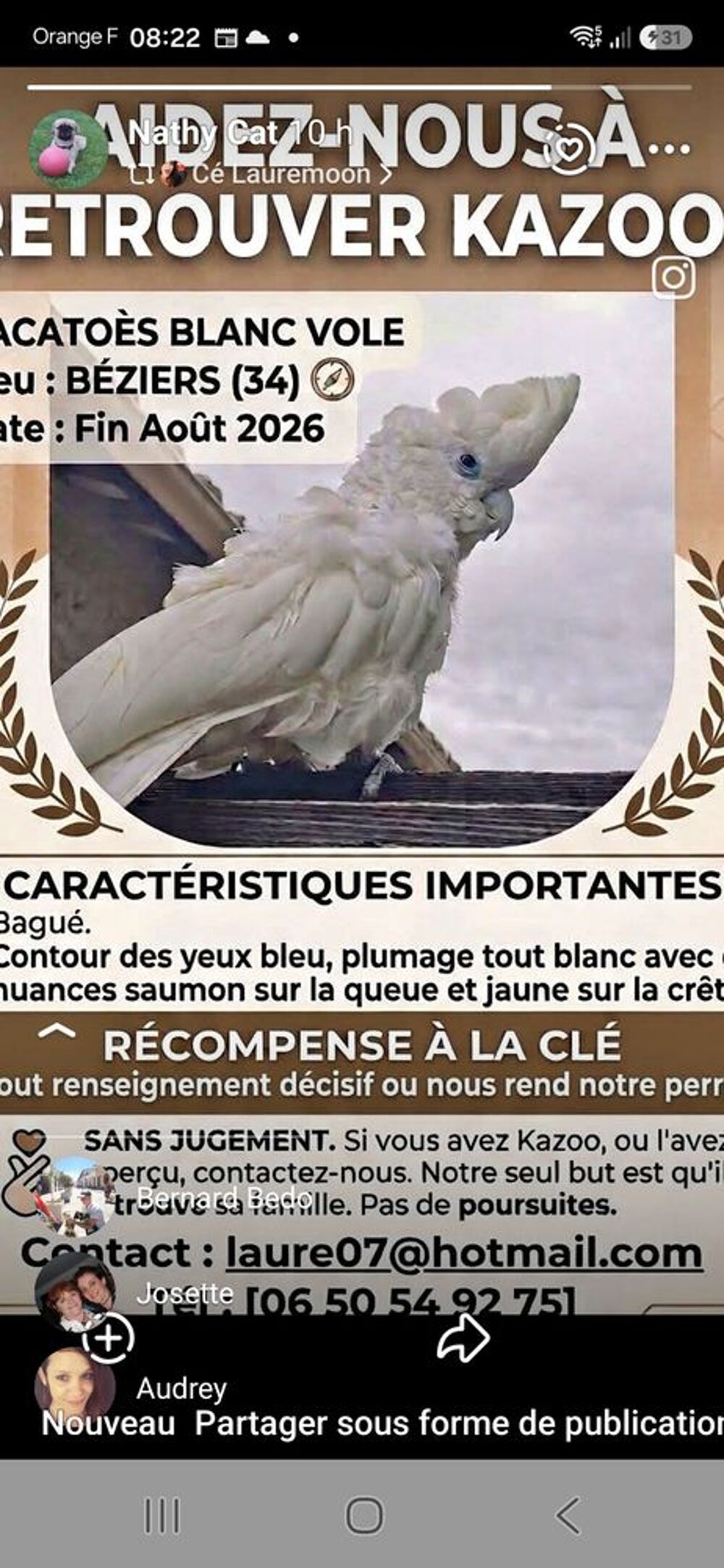   Cacatos volé  