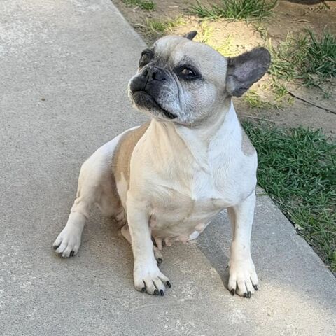 NEILA 100 26270 Loriol-sur-dr�me