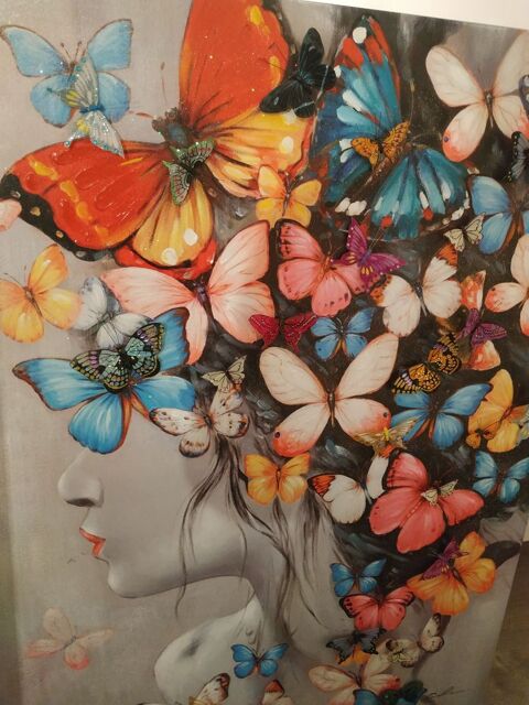 Tableau papillon 150 Saint-Malo (35)