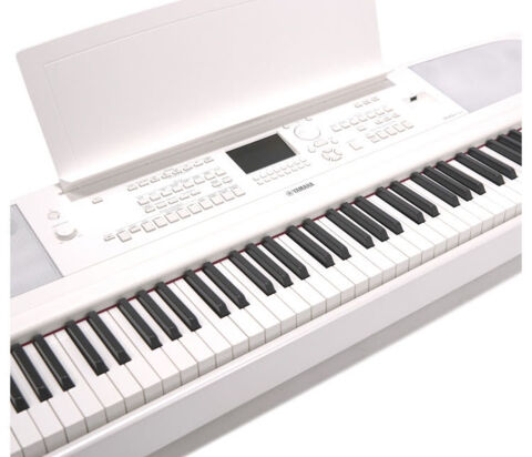 dgx 670 yamaha 600 Colmar (68)