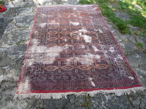 Tapis d'Orient
65 Castres (81)
