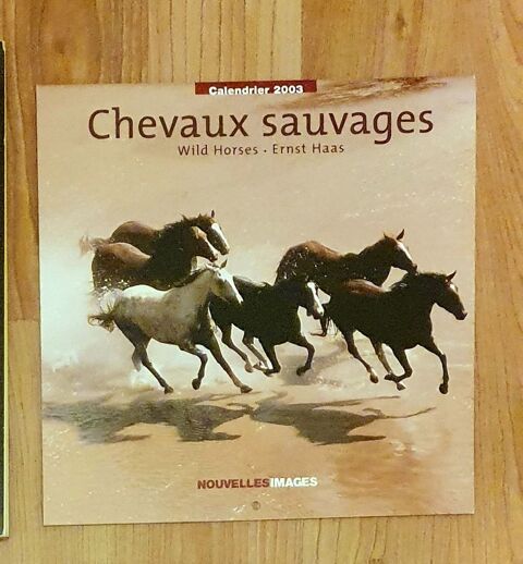 ancien calendrier  2003 th�me  cheval 6 Les Moli�res (91)