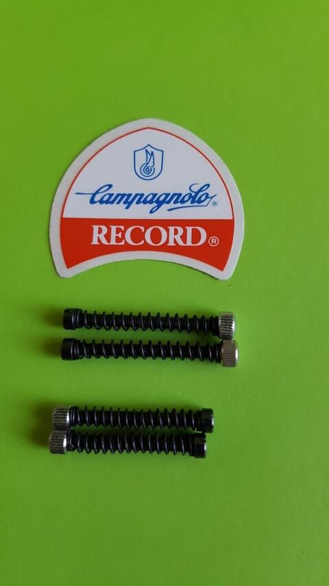 CAMPAGNOLO 0 Toulouse (31)