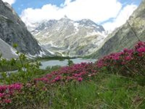   vacances  toutes saisons  VALLOUISE-Massif des ECRINS   Provence-Alpes-Cte d'Azur, Vallouise (05290)