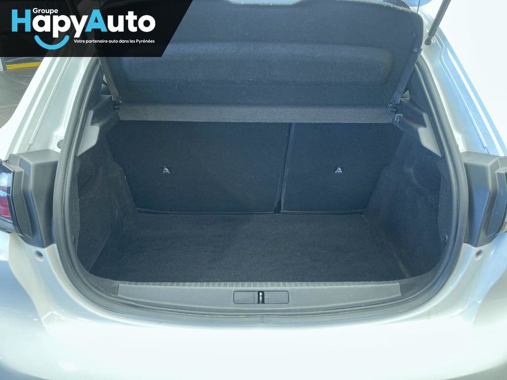 208 BlueHDi 100 S&S BVM6 Active Business 2021 occasion 65000 Tarbes