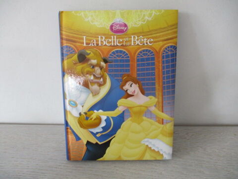 Livre enfant 5 Castres (81)