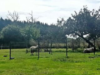  Maison � vendre 8 pi�ces 188 m�