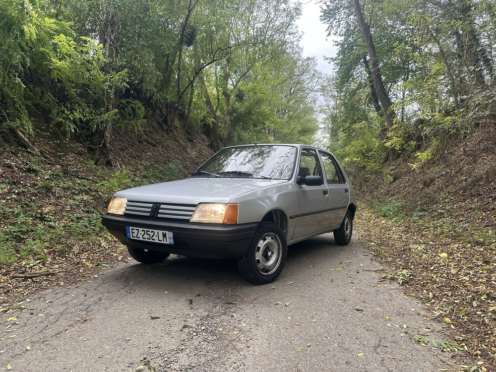 205 1.1 GL 1985 occasion 68510 Sierentz