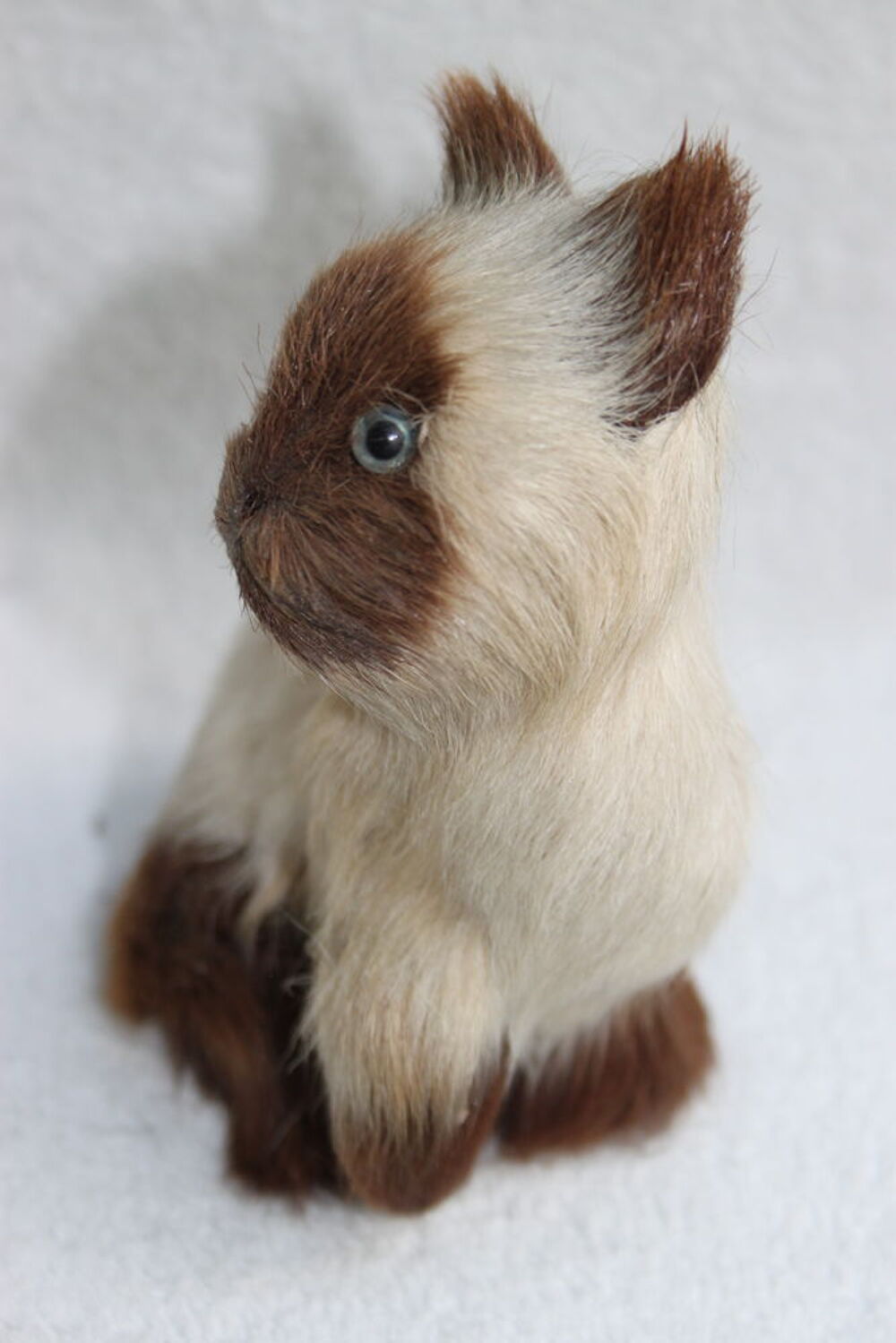 Peluche chat Jeux / jouets