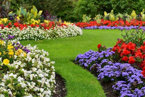 Entretien Régulier de vos espaces verts et potager 0 45000 Orlans