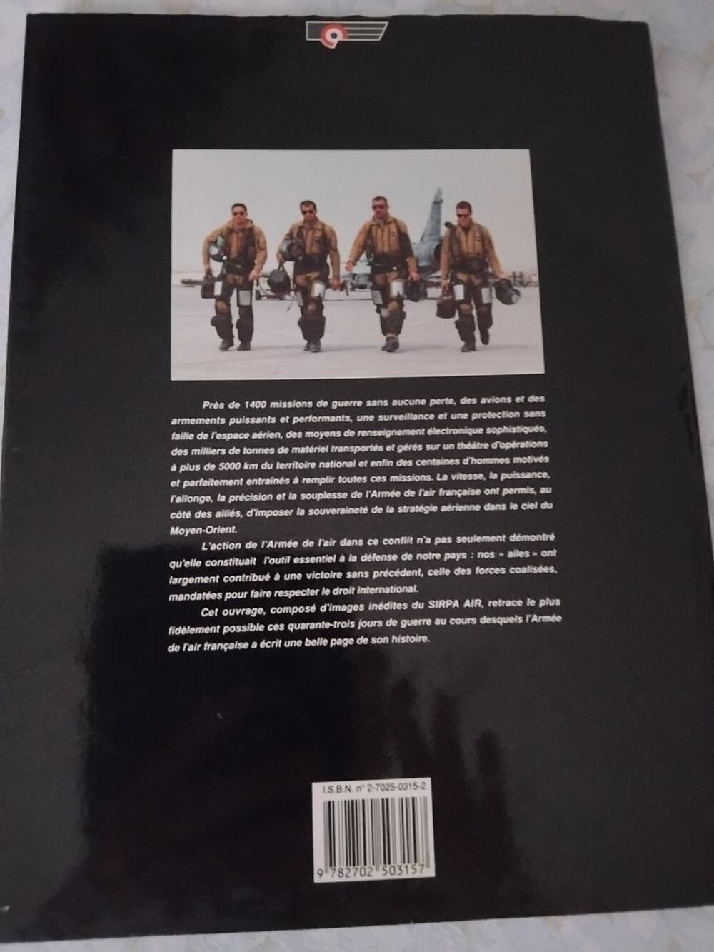 L'arm&eacute;e de l'air au moyen-orient - La victoire venue du ciel Livres et BD
