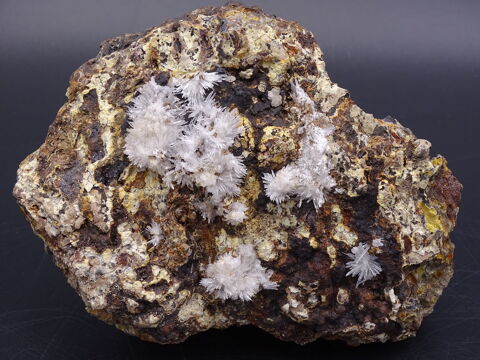  Oursins  d'Aragonite de Gergovie Puy-de-D�me Auvergne Franc 45 Moyenmoutier (88)
