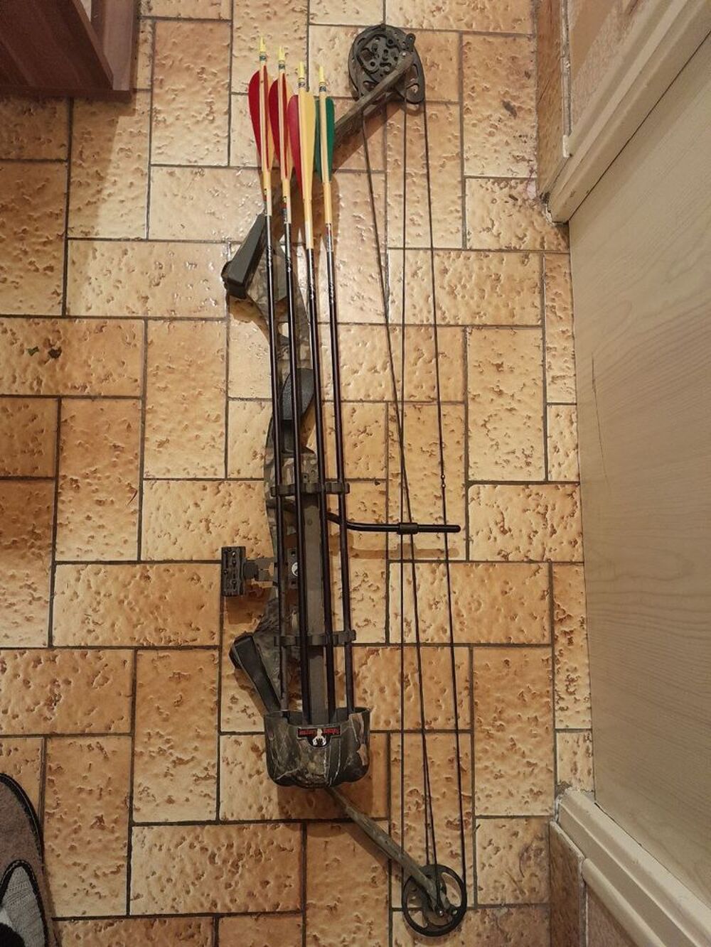 Arc de chasse Sports