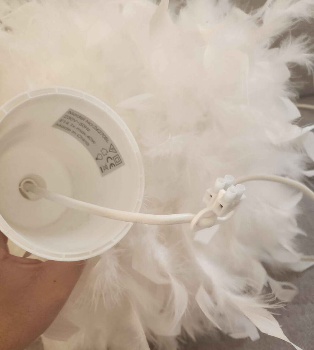 Luste plume Décoration
