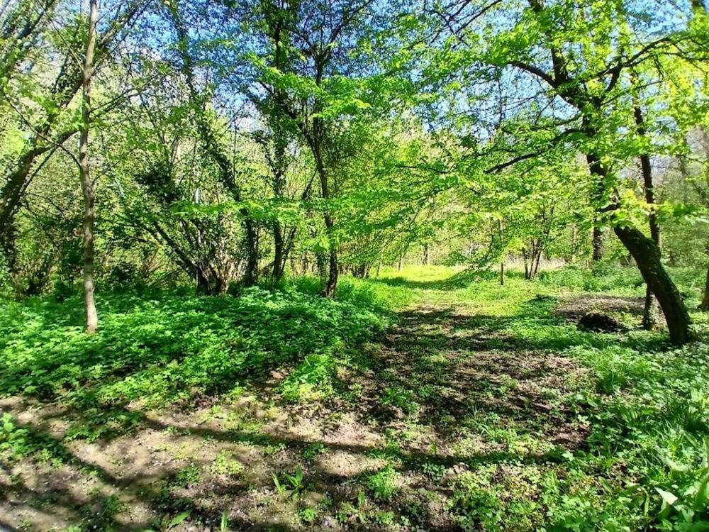Vente Maison Maison F6 Estrée-wamin