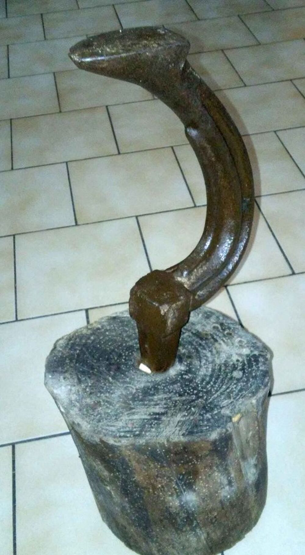 Authentique Pied de Cordonnier 