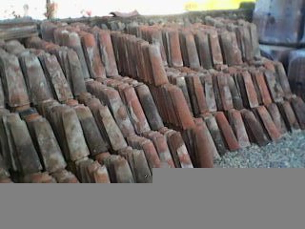 Tuiles "canal' anciennes Bricolage