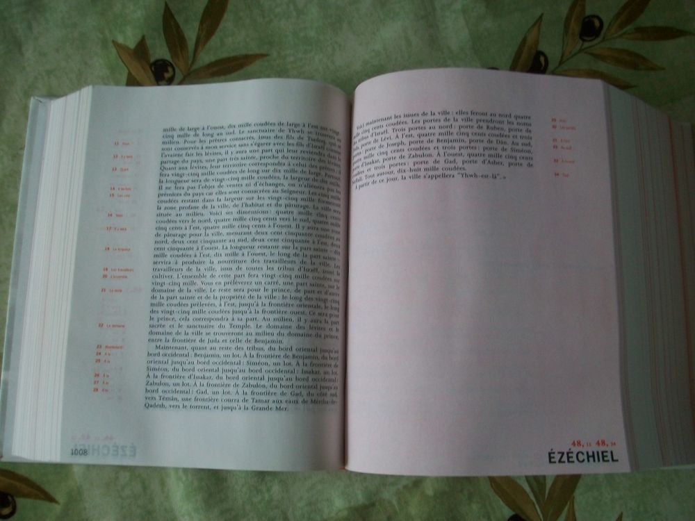 LIVRE la BIBLE Livres et BD