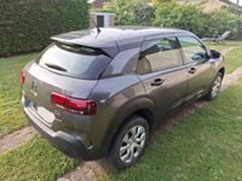 C4 cactus C4 Cactus PureTech 110 S&S BVM6 Feel 2019 occasion 58450 Annay
