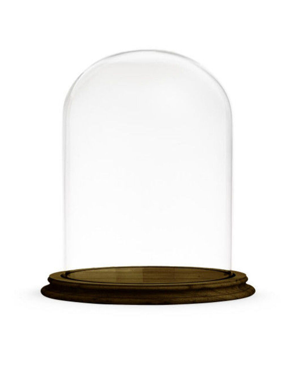 Cloches de verre Meubles