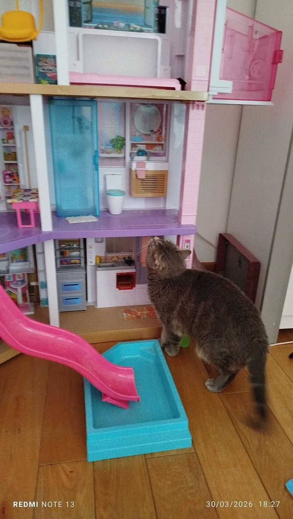 Maison barbie Dreamhouse Jeux / jouets