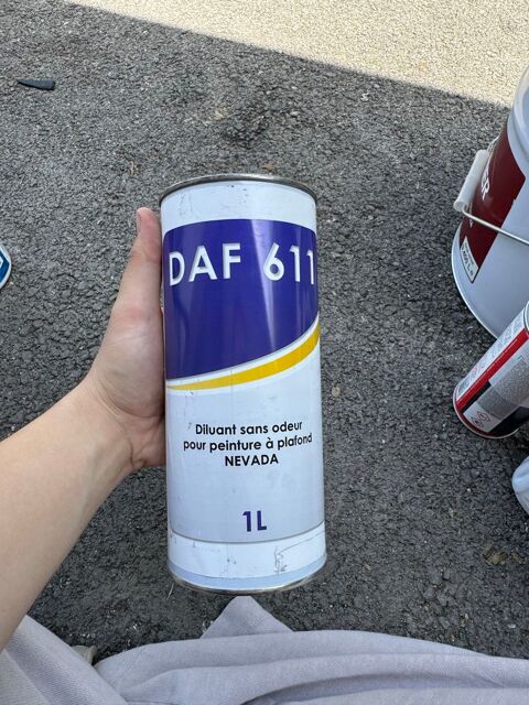 /Diluant sans odeur pour peinture &agrave;  plafond NEVADA 6 69200 Vénissieux