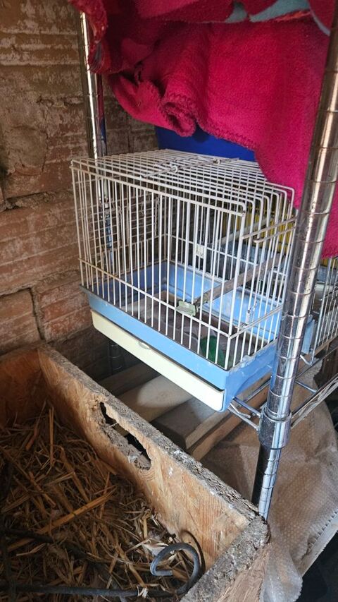 Petite Cage oiseaux 26x27x17 15 13480 Cabris