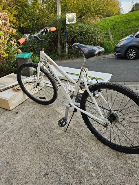 Vtt remis en etat 60 Saint-�tienne-au-Mont (62)