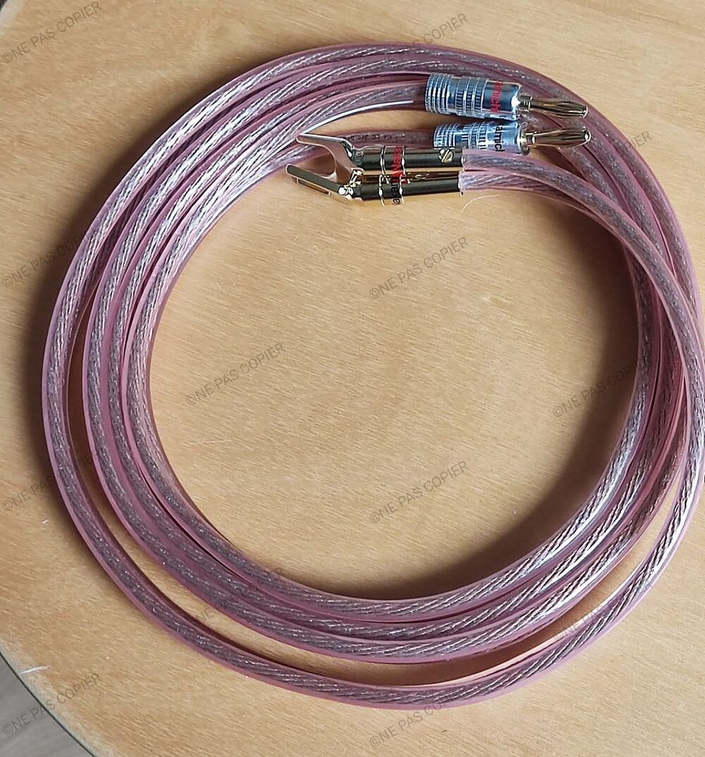 C&acirc;bles d'enceintes audiophiles REAL CABLES Moniteur Mont&eacute;s Audio et hifi