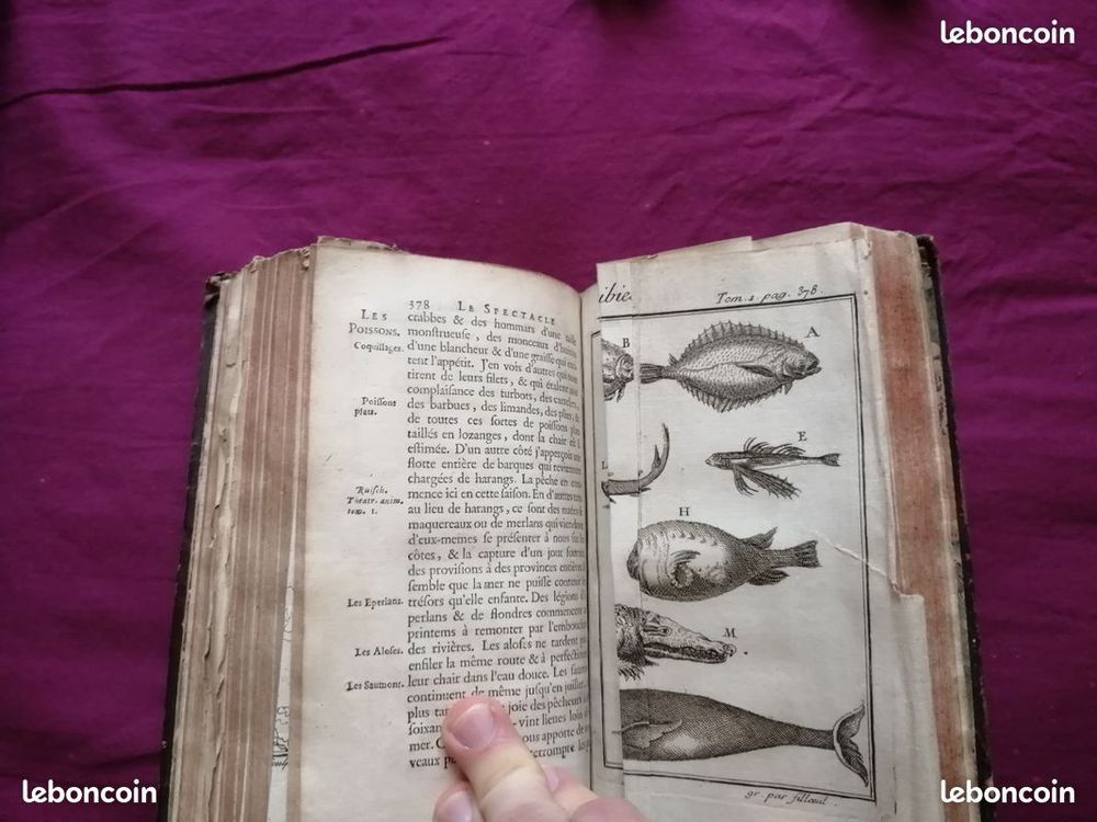 le spectacle de la nature entretien particularit&eacute;s naturelle Livres et BD