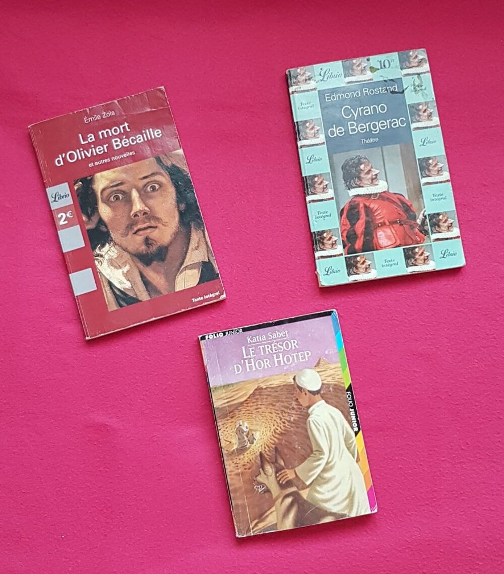 Lot de 3 livres de litt&eacute;rature fran&ccedil;aise Livres et BD