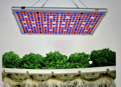4 Lampes fleuraison horticole LED en état neuf 0 Port-de-Lanne (40)