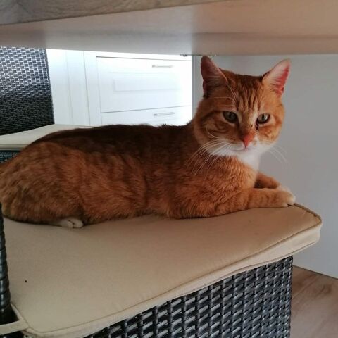 CARAMELO 50 26300 Bourg-de-p�age