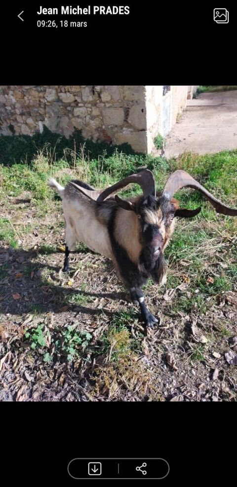 Bouc 20 34490 Th�zan-l�s-b�ziers