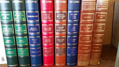 SELECTION DU LIVRE ( 7 volumes ) 15 Paris 13 (75)