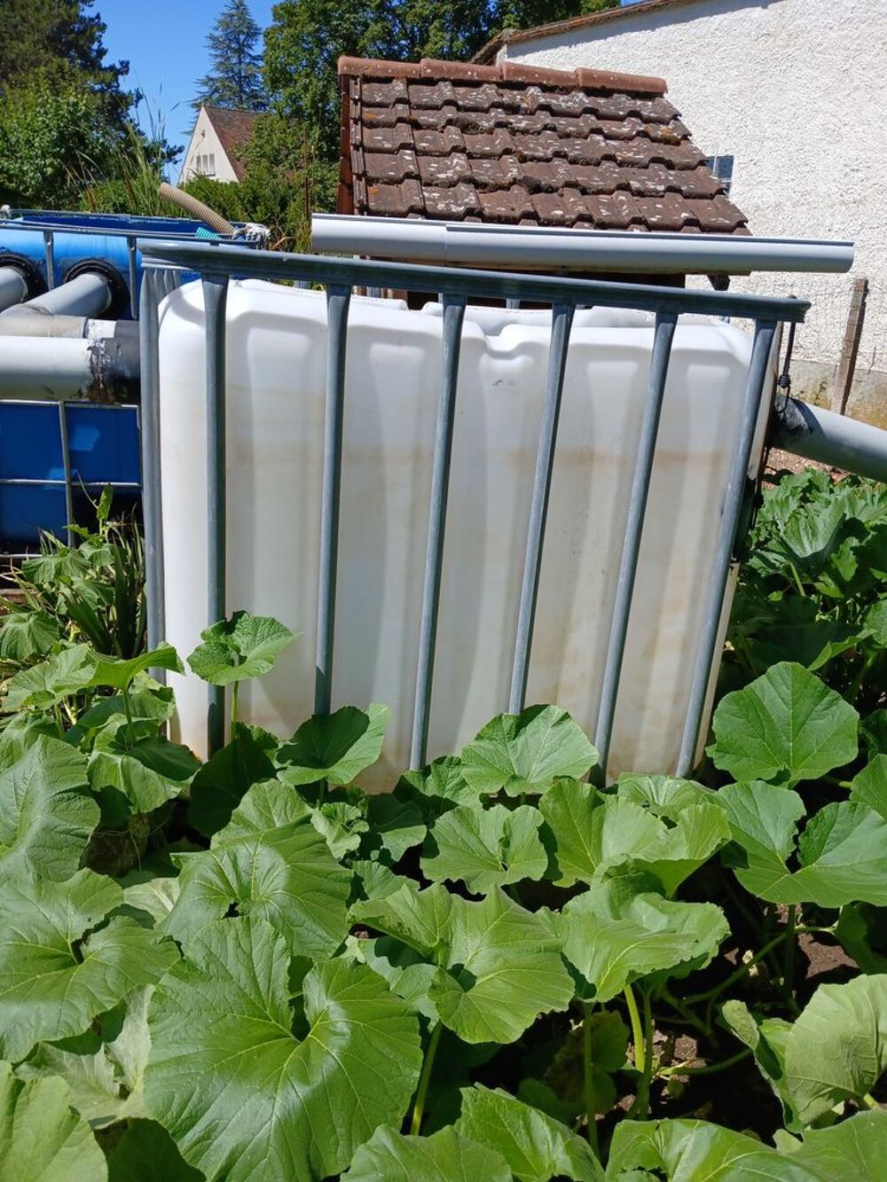 Cuves r&eacute;cup&eacute;ration d eau. 1 M Cube. Jardin