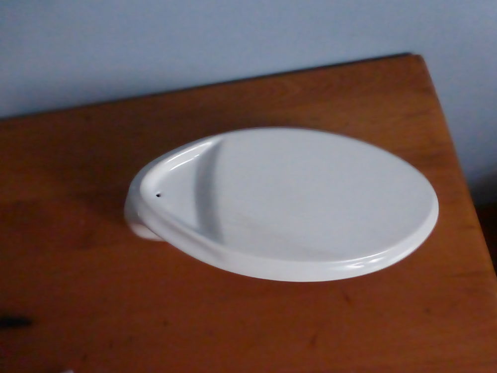 PLAT A FOIE GRAS ou &agrave; d&eacute;tourner... neuf Electroménager