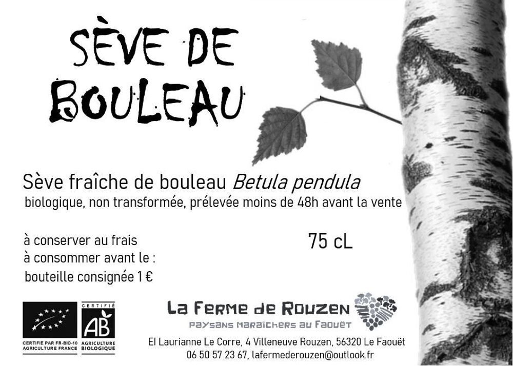 S&egrave;ve de bouleau Cuisine