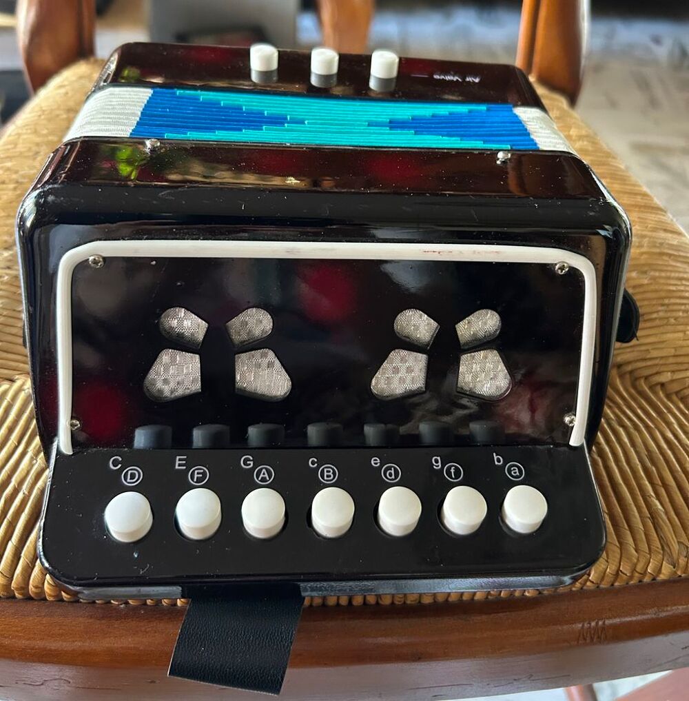 Accord&eacute;on enfant Jeux / jouets