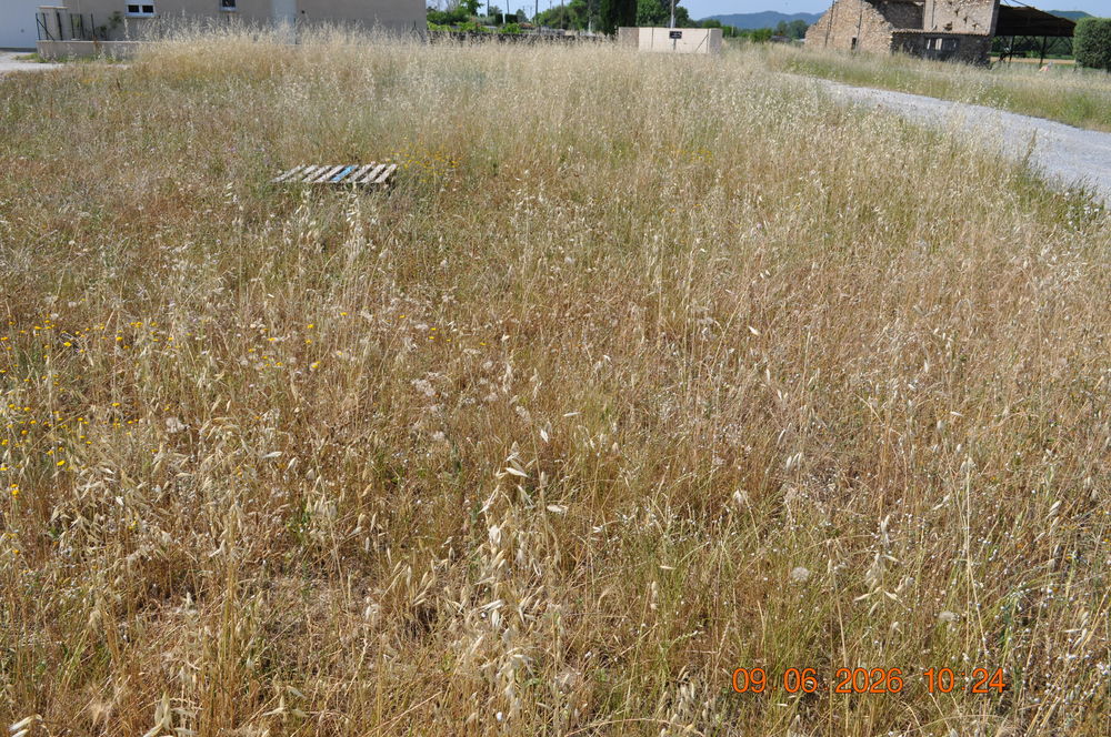 Vente Terrain Térrain constructible Les mées