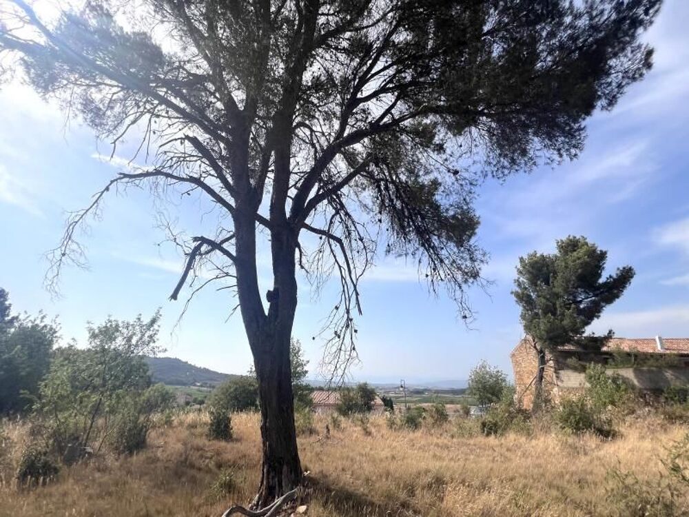 Vente Terrain Terrain Boutenac