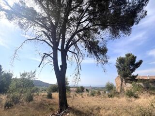  Terrain à vendre 4795 m²