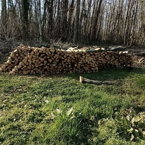 de bois de chauffage 70 �coyeux (17)