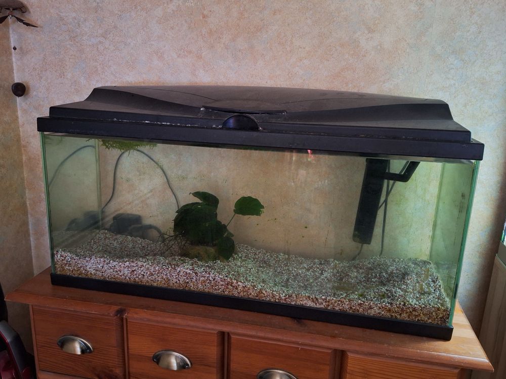   Aquarium ciano 80 litres 