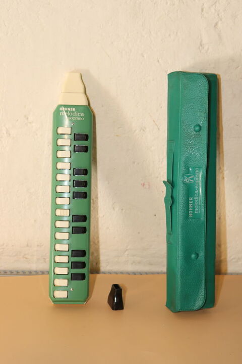 Fl�te clavier HOHNER Melodica Soprano
�
35 Li�vin (62)